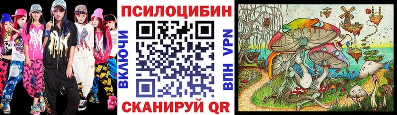 Купить где  Арсеньев  Галлюциногенные грибы Psilocybine cubensis 